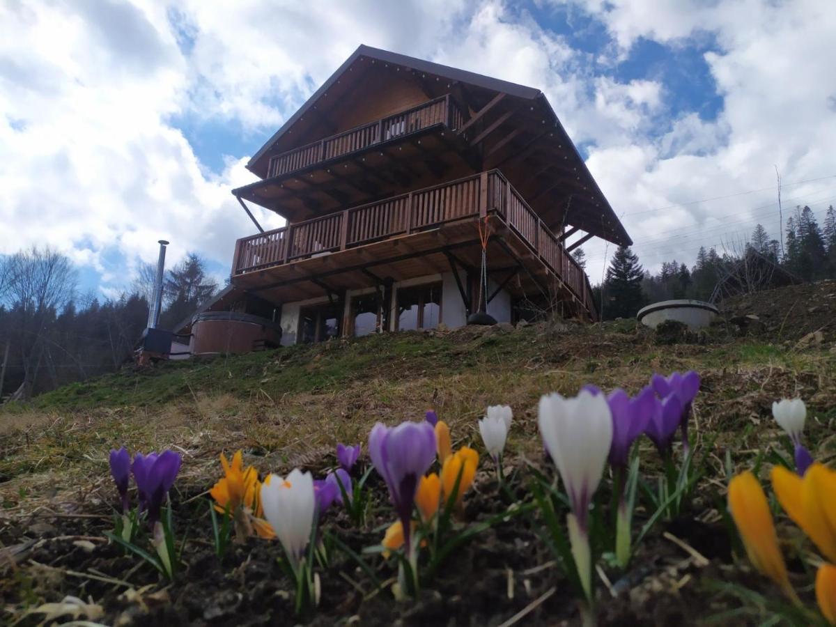 Бриндуш Villa Tatariv Bagian luar foto